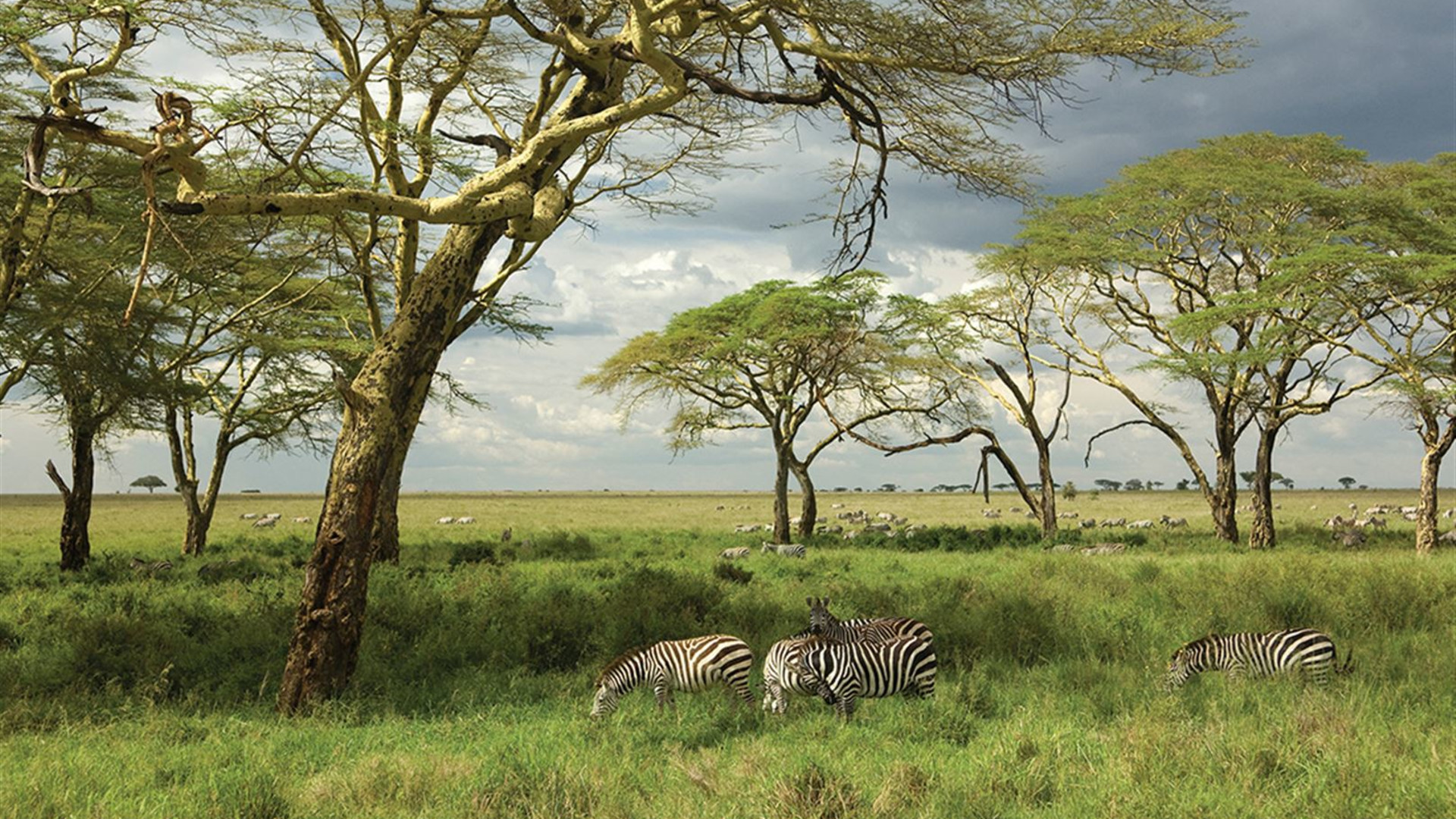 Click to view large image The Masai Heartlands