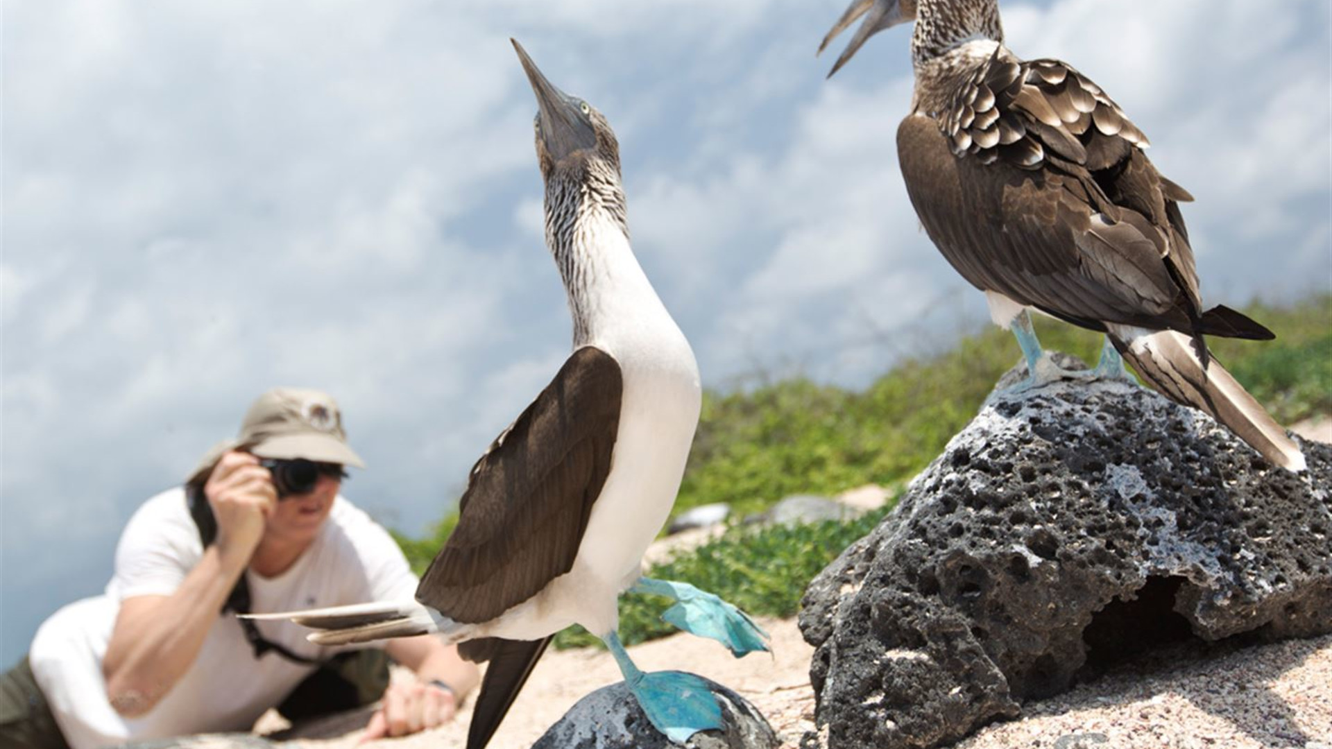 Click to view large image Galapagos — South & East Islands aboard the Eden