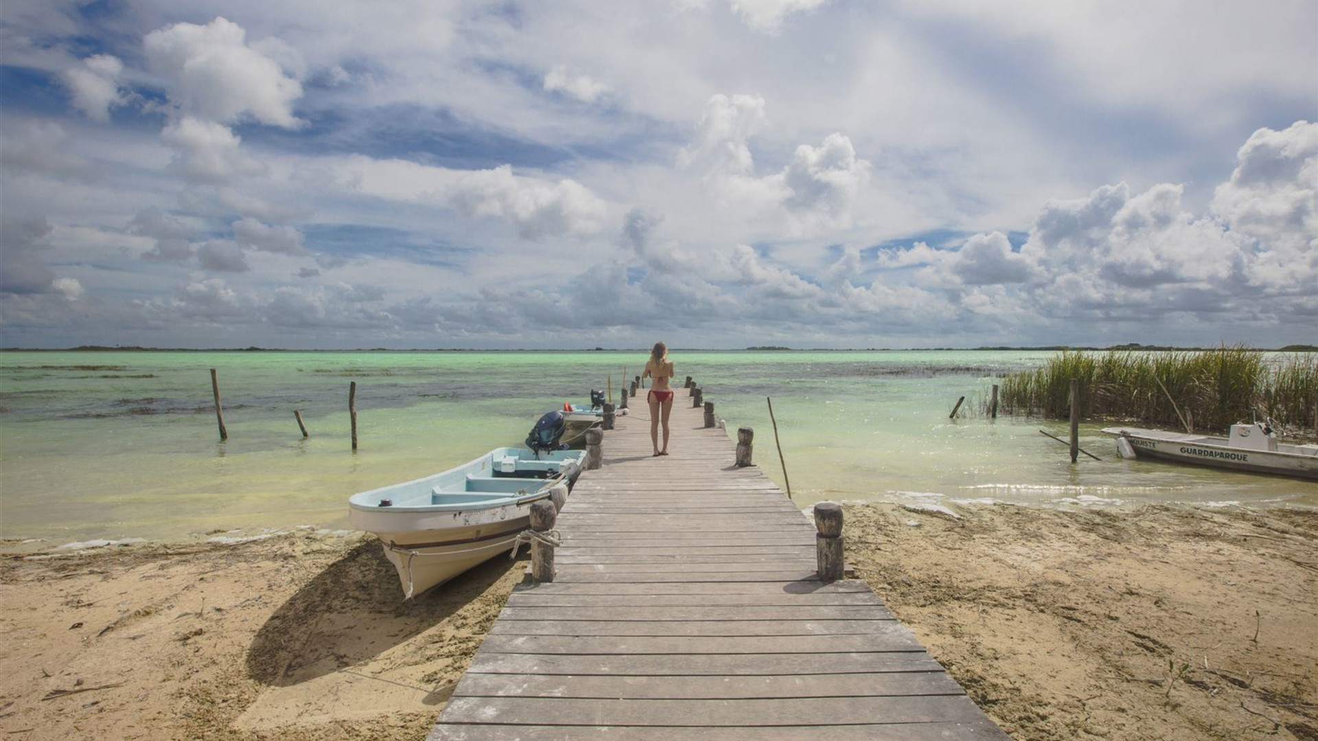 Click to view large image Mayan Encounter