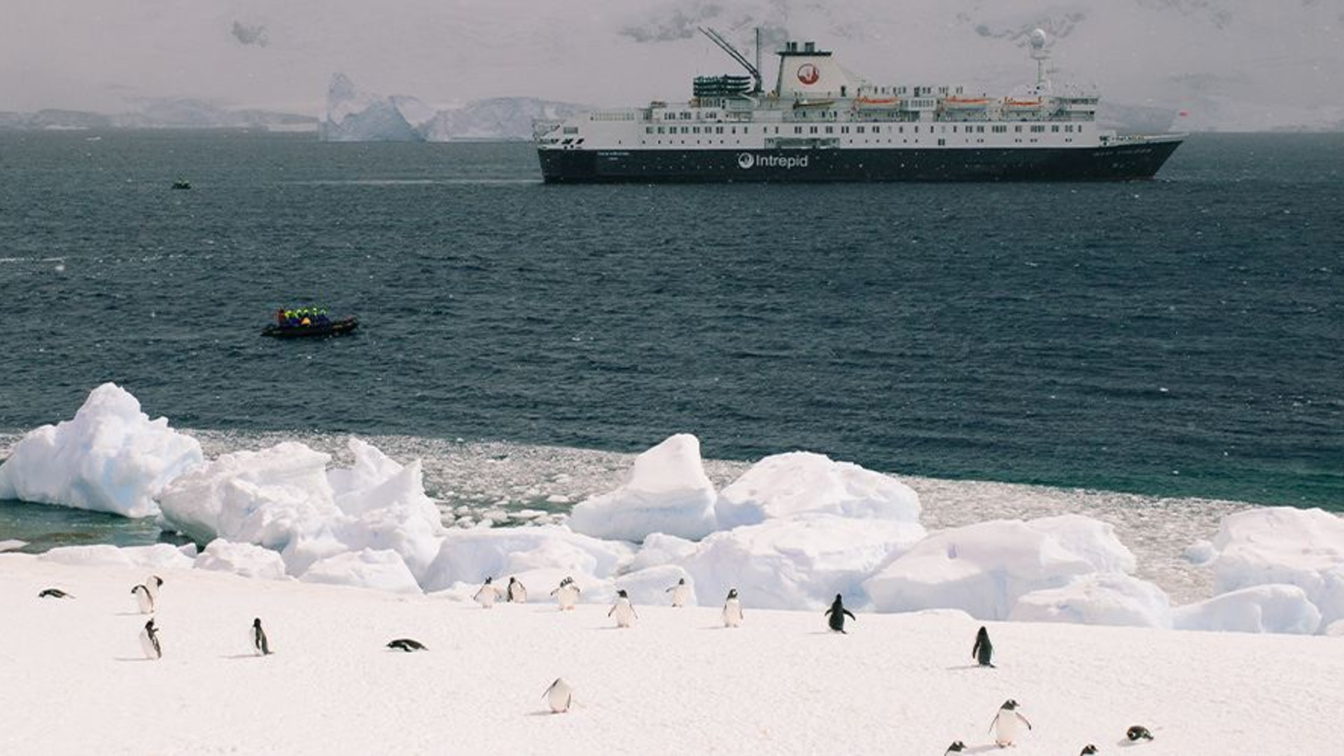 Click to view large image Ultimate Antarctica: Falklands, South Georgia & the Antarctic Circle