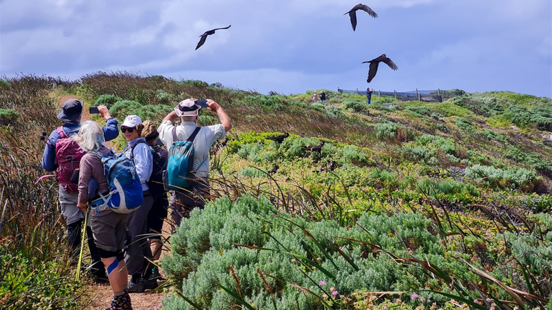 Click to view large image Hike the Bibbulmun Track: Walpole to Denmark