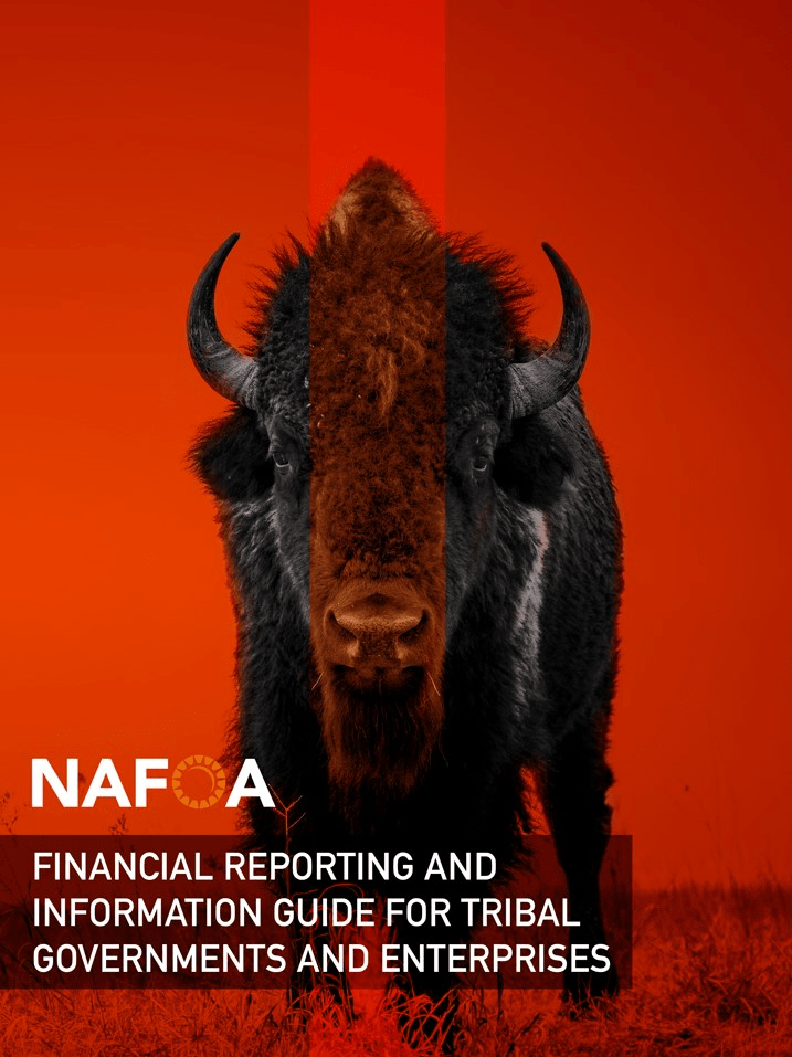 Financial Reporting and Information Guide for Tribal Governments and Enterprises Financial Reporting and Information Guide for Tribal Governments and Enterprises