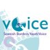 Borders Youth Voice