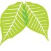 Lung Cancer Canada