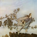 Mary Lou Hildreth