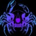 Crab Aesthetics カニの美