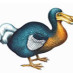 dodo modern poets