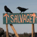 Salvage Movie