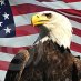 Usa Patriot