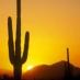 Social In Scottsdale