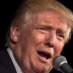All 4 Donald Trump