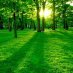 GreenThink