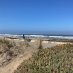 Momifornia Momifornia