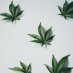 Oklahoma dispensary review Oklahoma dispensary review