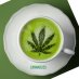 CannaBliss 🍁 CannaBliss 🍁