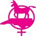 DemocraticWomenofNC