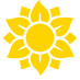 Green Party NY ๐ป Green Party NY ๐ป