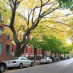 LPNeighborhoodSchool