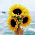 There Flowers