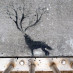 Justin Schaberg