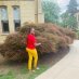 Joyce Joan Wangui