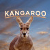 Kangaroo The Kangaroo The