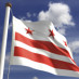 v4dc2.org Vote 4 Dc2 v4dc2.org Vote 4 Dc2