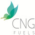 Cng Fuels