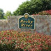 River Democrat Club