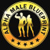 Alpha Male Blueprint