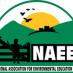 NAEE in the Uk