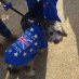 Caroline imaginetoys #Fbpe Caroline imaginetoys #Fbpe
