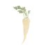 Parsnips + Pastries
