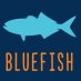 Bluefish