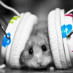 Steph Music