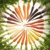 LittleCarrot