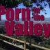 Porn in the Valley