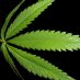 Cleveland Norml