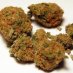 Orogreen
