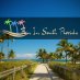 Fun In South Florida