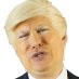 TrumpaVision