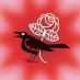 Houston Dsa Houston Dsa