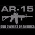Ar-15 Expert