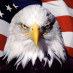 We The People