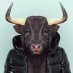Ruh öküzü🐂