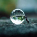 Amazing Nature