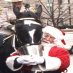 Christmas for Horses