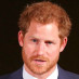 prince harry albert