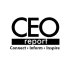 CEO Report CEO Report