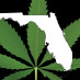 Miami Cannabis Miami Cannabis
